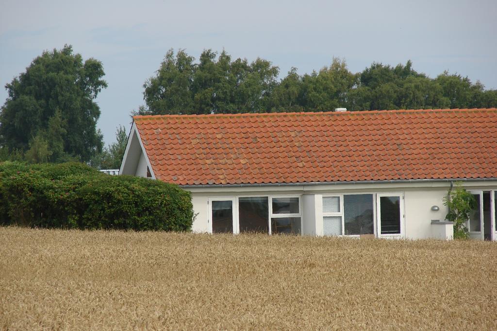 Sandkaas Family Camping & Cottages Allinge-Sandvig Oda fotoğraf