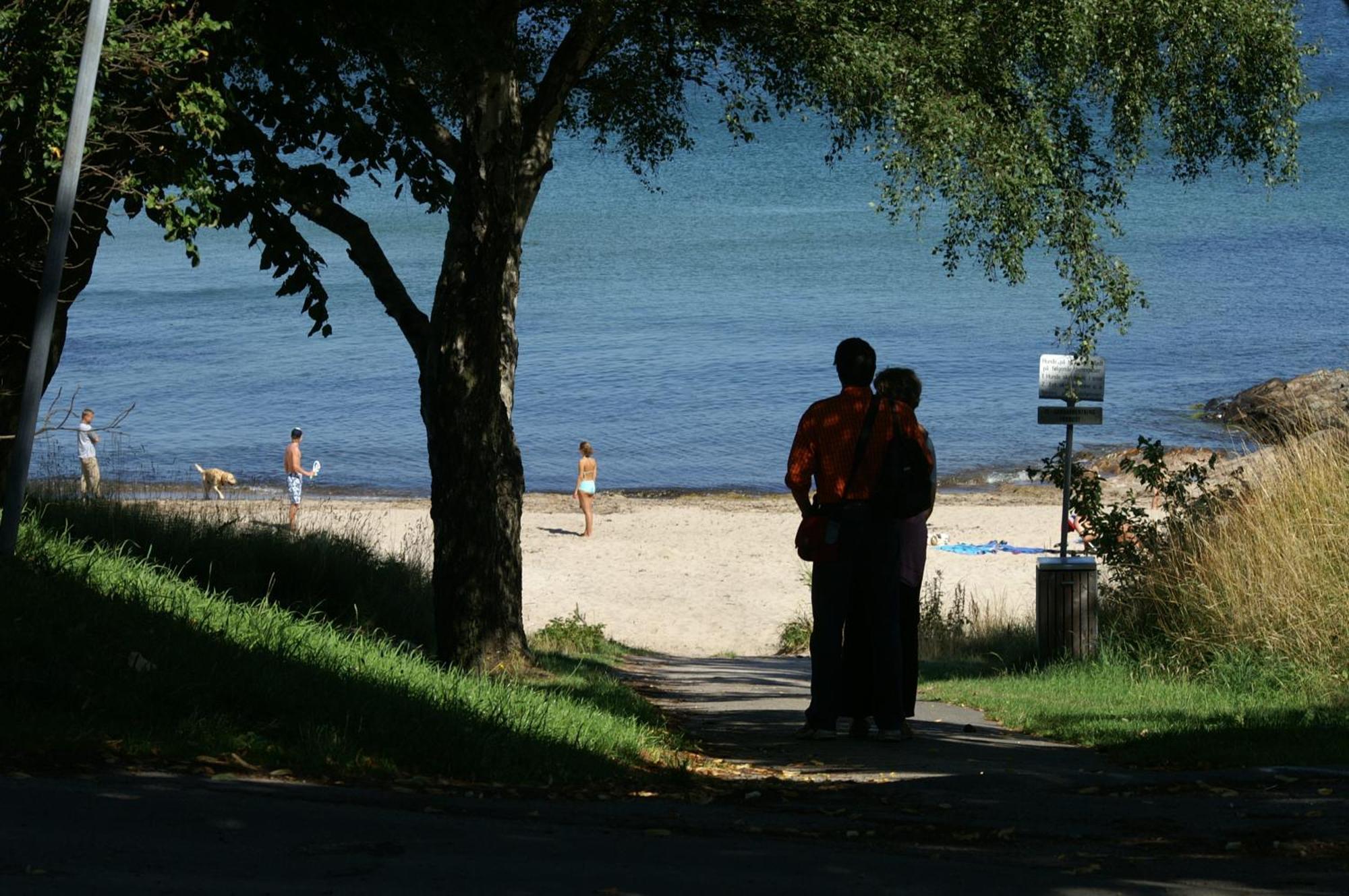 Sandkaas Family Camping & Cottages Allinge-Sandvig Dış mekan fotoğraf