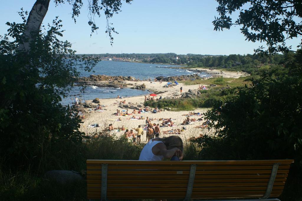 Sandkaas Family Camping & Cottages Allinge-Sandvig Dış mekan fotoğraf